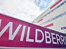 Wildberries сократила инвестиции в распределительный центр в Татарстане на 400 млн рублей