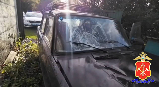 Следователи возбудили уголовное дело на насмерть сбившего пешехода водителя в Белове