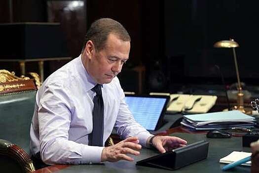 Медведев назвал Макрона трусом на французском языке после переноса визита в Киев