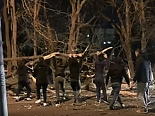 В Ставрополе из-за порывов ветра дерево упало на дорогу