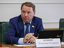 Сенатор Кожин прокомментировал возможность вернуть смертную казнь