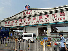 В Пекине прокомментировали вспышку коронавируса