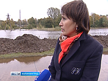 Образовавшееся под Светлогорском дождевое озеро грозит затопить дома сельчан