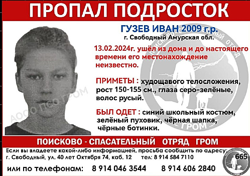 В Свободном третий день ищут пропавшего 14-летнего мальчика