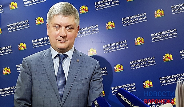 Гордума Воронежа утвердила акционирование «Воронежской горэлектросети» после оспаривания ее продажи