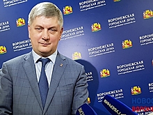 Гордума Воронежа утвердила акционирование «Воронежской горэлектросети» после оспаривания ее продажи