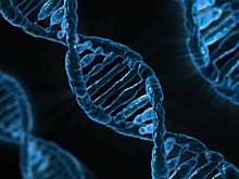 Закон о защите ДНК спасет россиян от смертельной опасности