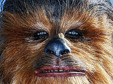 Семью покойного исполнителя роли Чубакки возмутил аукцион вещей актера