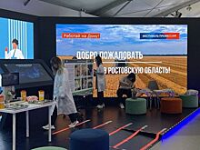 День Ростовской области на Фестивале профессий посетили больше шести тысяч человек