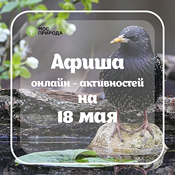 «Кубышка травница» и «Сказки по-семейному»: какие активности подготовила Мосприрода в понедельник