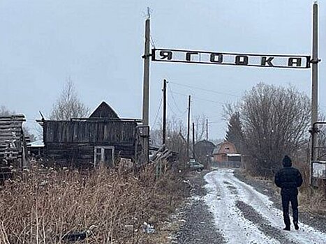 В Свердловской области нашли человеческую голову