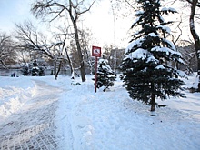 Парк «Торфянка» станет местом проведения субботника в Лосиноостровском