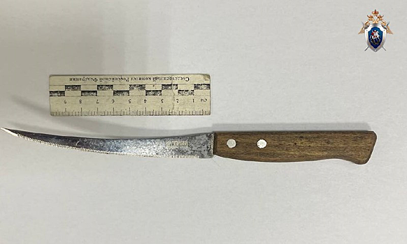 Нижегородец зарезал женщину в квартире на Автозаводе