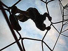 Материнский инстинкт