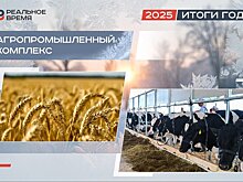 Сокращение зернового клина и генетический прорыв: как аграрии Татарстана завершают год