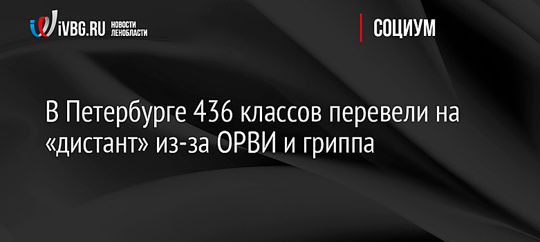 В Петербурге 436 классов перевели на «дистант» из-за ОРВИ и гриппа