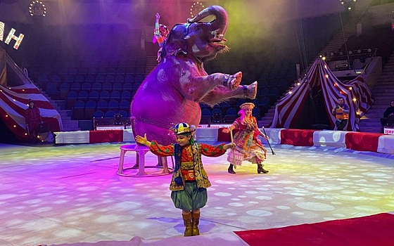 Рязанский цирк покажет шоу «Балаган» от «Продюсерского центра Влада Гончарова»