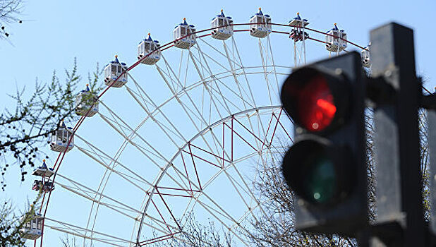 В красноярском зоопарке установят 50-метровое колесо обозрения