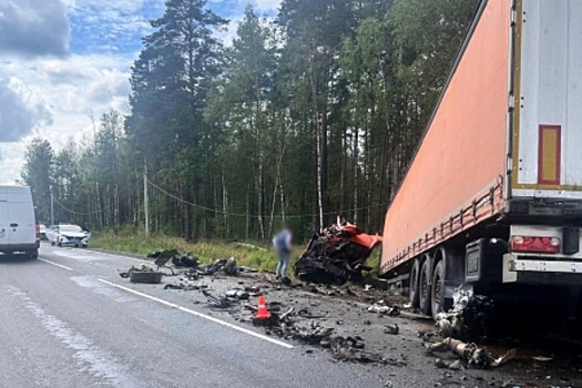 Стали известны подробности гибели владимирского депутата Михаила Максюкова