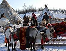 На Ямале выпустят разговорник на языках северных народов