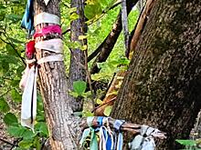 65-летний житель Курской области пытался признать свой брак недействительным через суд