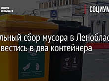 Раздельный сбор мусора в Ленобласти будет вестись в два контейнера
