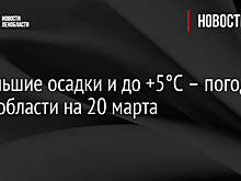 Небольшие осадки и до +5°C – погода в Ленобласти на 20 марта