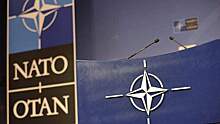 СМИ: заявка Украины на вступление в НАТО стала неожиданностью для США