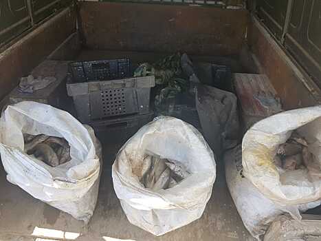 Двух браконьеров с уловом на 1,5 млн рублей поймали под Ростовом