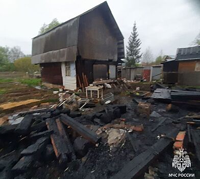 Два десятка индюшат погибли на пожаре в Ижевске