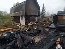 Два десятка индюшат погибли на пожаре в Ижевске