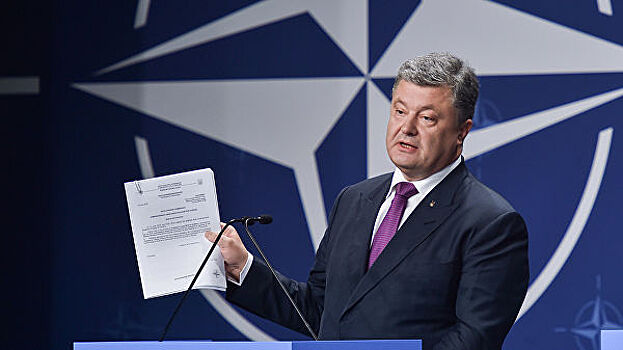 "Непростые перспективы". Украинский политолог о сотрудничестве с НАТО