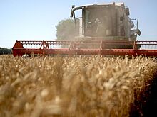 Аграрии показали чудеса роста производительности