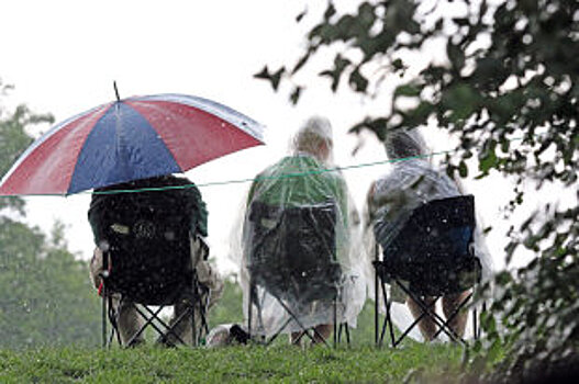 Волгоградские туркомпании не закупили новые автобусы для школьников