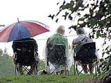 Волгоградские туркомпании не закупили новые автобусы для школьников