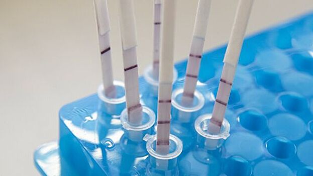 В Париже на берегу Сены проводят бесплатные экспресс-тесты на COVID-19