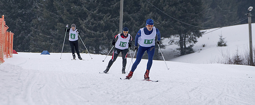 Строительство лыжероллерной трассы началось в Сарапульском районе Удмуртии