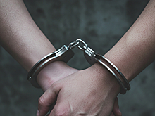 Директор фирмы пойдет под суд за обман школ Новосибирской области при установке пожарных систем