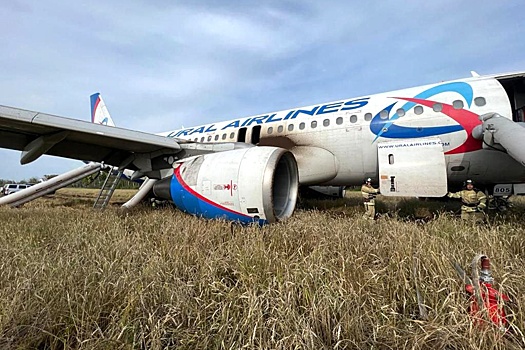 Самолет, совершивший посадку в поле под Новосибирском, будет восстановлен