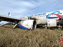 Самолет, совершивший посадку в поле под Новосибирском, будет восстановлен