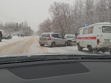 Объезжая собак женщина-водитель выехала на встречку и спровоцировала ДТП