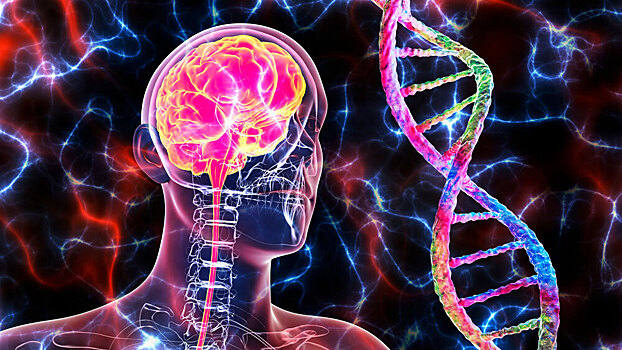 Выявлен ген, придавший разумности поведению Homo sapiens