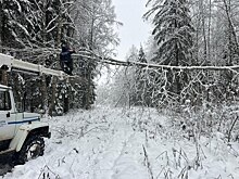 За сутки в Калужской области обесточило 774 населенных пунктов