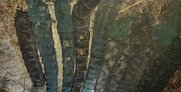 В Чувашии сотрудники полиции совместно с коллегами из управления Росгвардии по региону задержали подозреваемого в незаконной добыче водных ресурсов