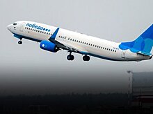 Недамская сумочка. Авиакомпания "Победа" в центре скандала из-за ручной клади