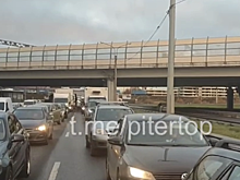 В Петербурге инспекторы ДПС перекрыли Московское шоссе