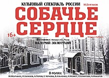 В Челябинске покажут "Собачье сердце" в постановке Валерия Золотухина