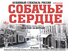 В Челябинске покажут "Собачье сердце" в постановке Валерия Золотухина