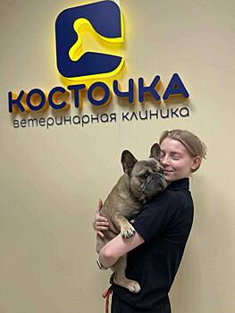 Плановая диспансеризация животных: зачем и как часто она нужна