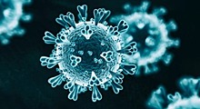 Информация по коронавирусу в Калужской области